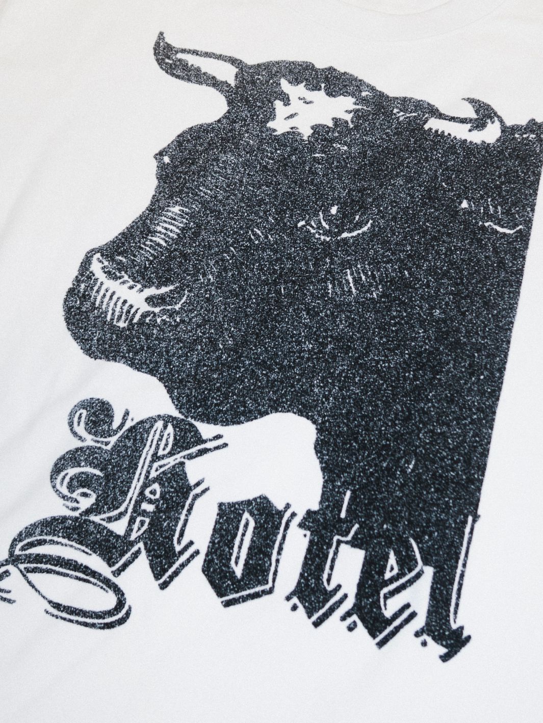 T-Skjorte | Bison Tee White