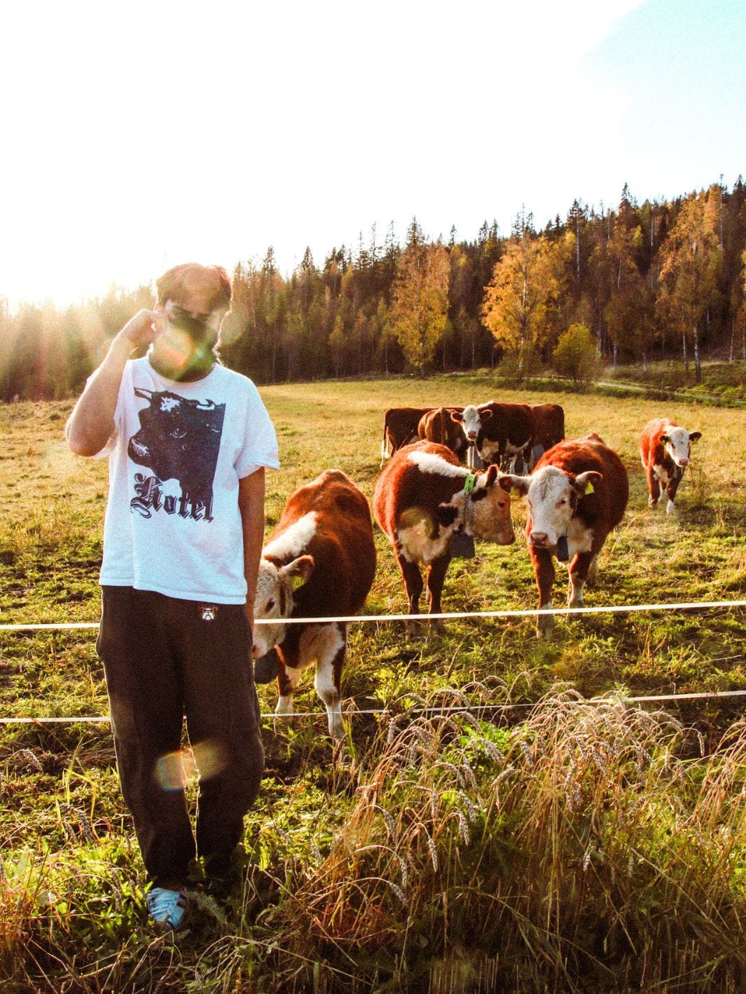 Hotel Tees & Longsleeves T-Skjorte | Bison Tee White